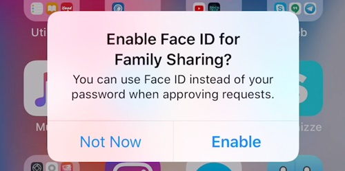 Cara Setting Face ID iPhone