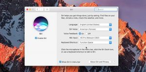 Bagaimana Rasanya Menggunakan Siri di macOS Sierra?